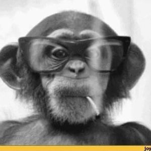 Meet your Posher, Connie